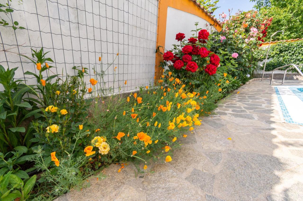 Vila Rosen Lozenets ภายนอก รูปภาพ